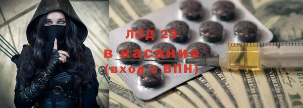 ПСИЛОЦИБИНОВЫЕ ГРИБЫ Аркадак