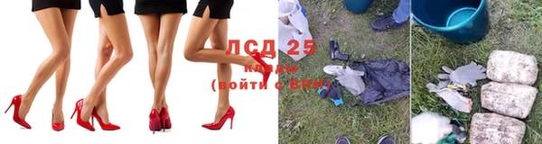 ПСИЛОЦИБИНОВЫЕ ГРИБЫ Аркадак