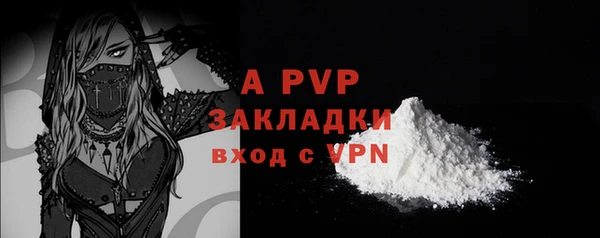 apvp Алексин