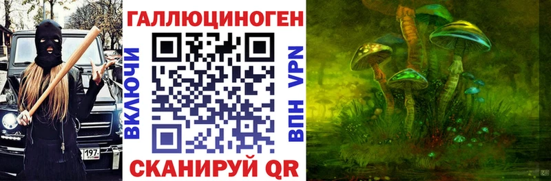 Псилоцибиновые грибы Cubensis цена наркотик Цоци-Юрт